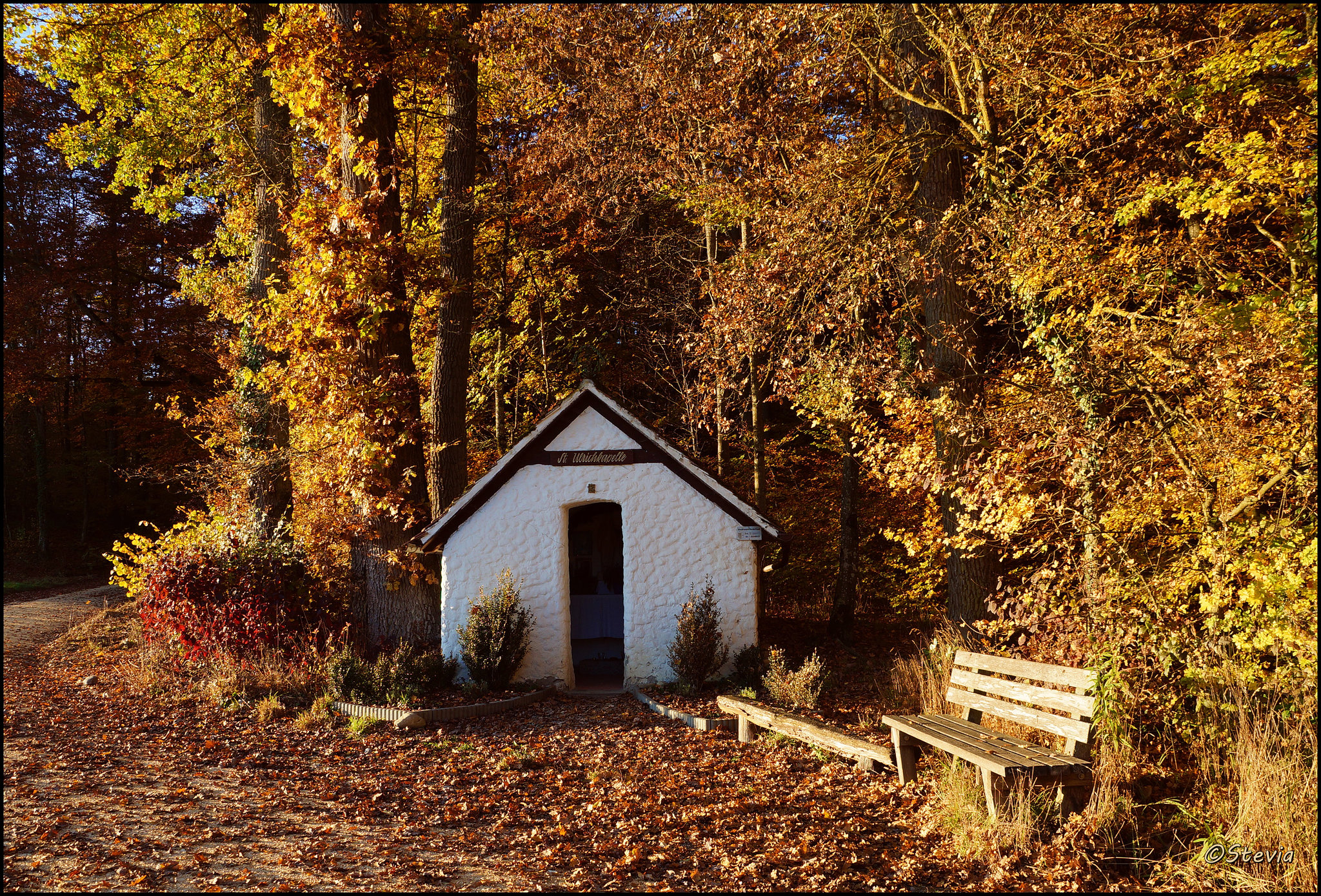 Ein Ort der Stille am Waldrand