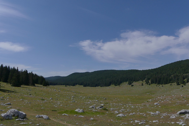 20170718 -23 Randos St Agnan en Vercors (108) al