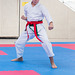 kj-karate-1263 15619324109 o