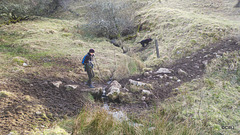 Stepping Stones