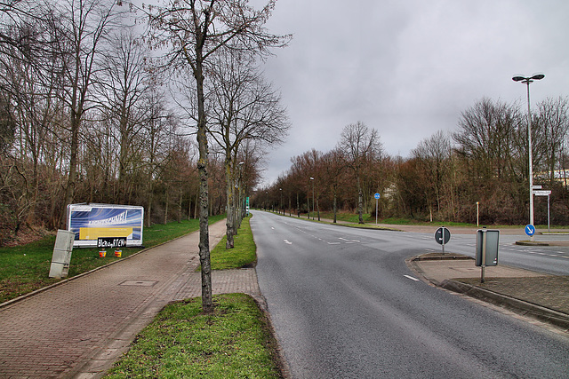 Zwolle-Allee (Lünen) / 4.03.2023