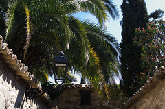 Alleyway between the gardens in Baeza