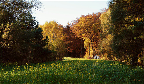 St. Ulrichkapelle bei Radolfzell-Böhringen