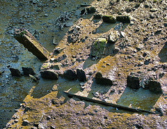 Urban Waterway