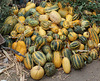 Pumpkins