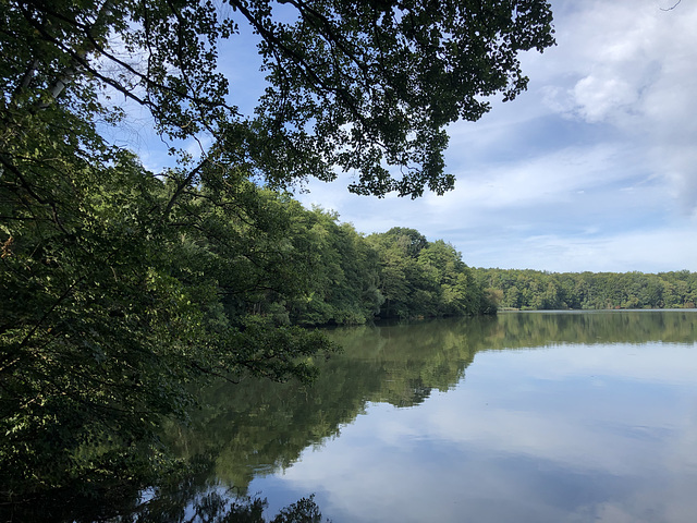 DE - Brühl - Berggeist-Weiher