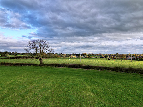 Gnosall fields