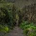 Caldy hill looking towards the River Dee estuary