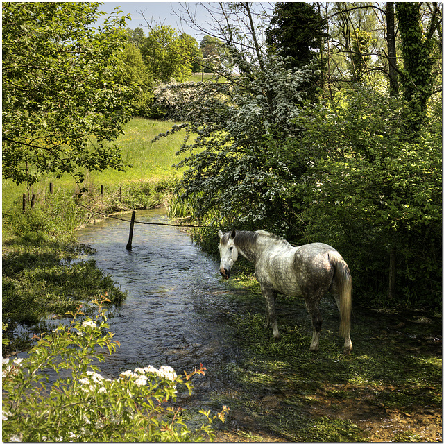 River Horse