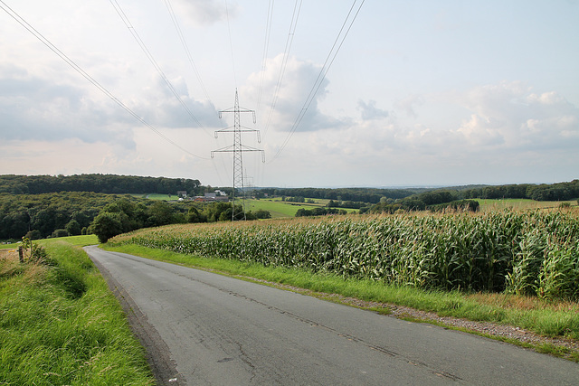 Oberstüterstraße (Hattingen) / 20.08.2017