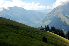 l'oberland bernois