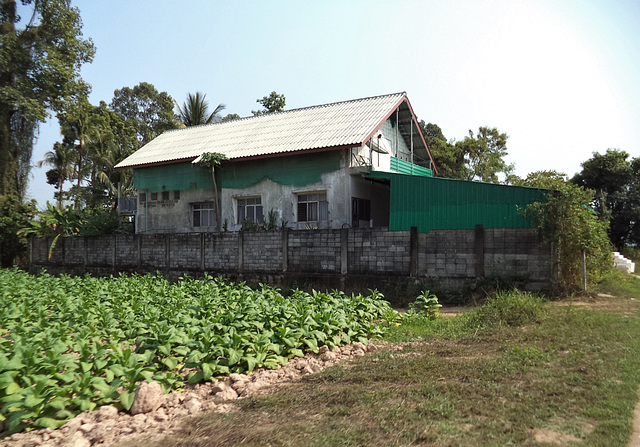 Architecture d'agriculture / Agricultural building