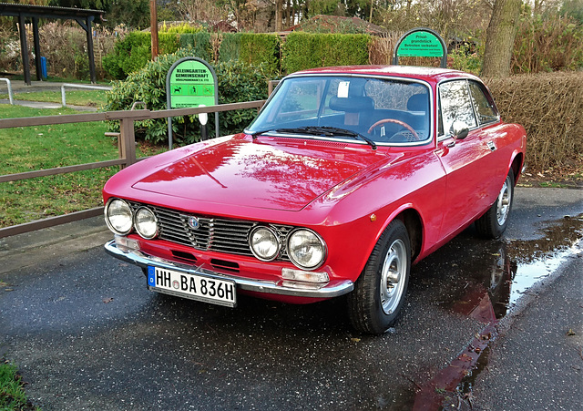 Alfa Romeo Giulia GT