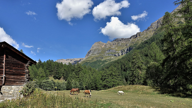 Leukerbad VS / 08.22