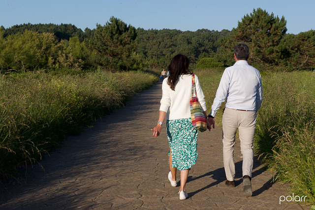 Mi hábitat es verde; un paseo por él + (6 notas)