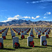 Southern Arizona Veterans Memorial Cemetery