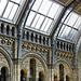 Steel Glass and Stone – Natural History Museum, South Kensington, London, England