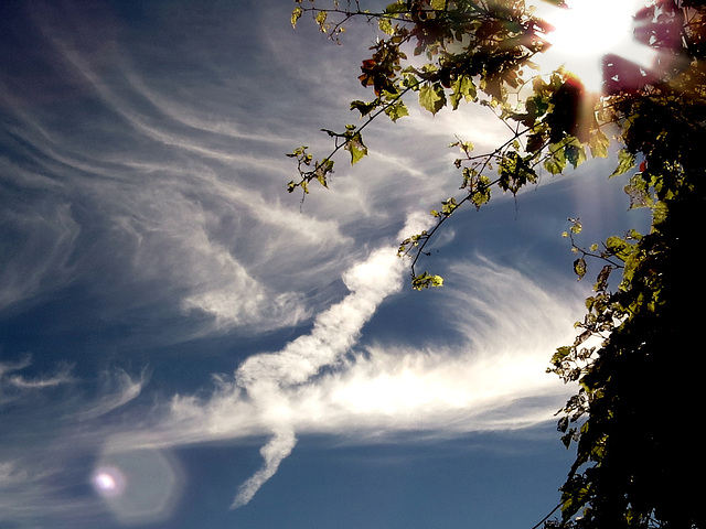 A Dr. Seuss figure sliding down a cloud