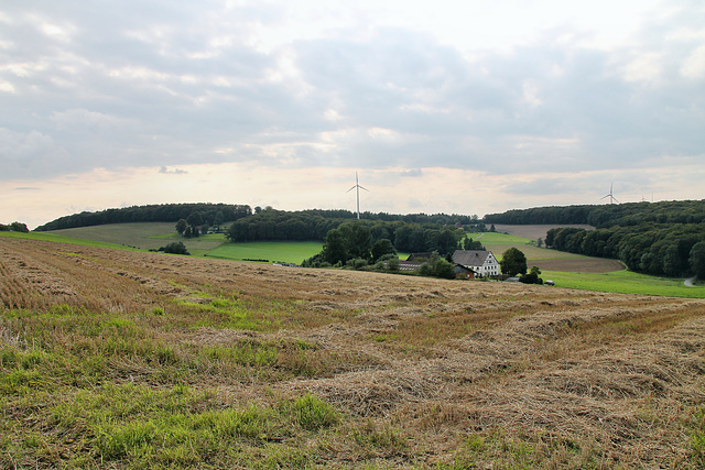 Elfringhauser Schweiz (Hattingen) / 20.08.2017