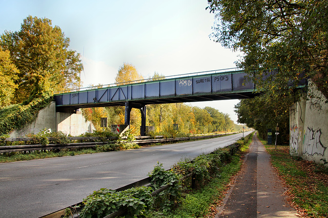 Alte Zechenbahnbrücke über der Ewaldstraße (Herten) / 15.10.2018