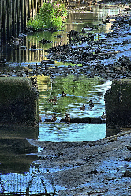 Urban Waterway