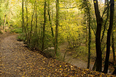 Path and stream