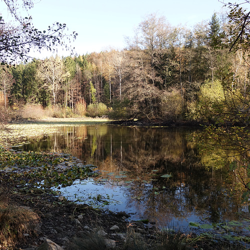 ipernity See, Teich, WEIHER, stand auf einer erklärenden Tafel by