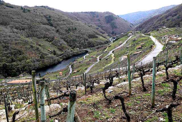 Ribeira Sacra