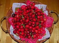 Cerises***********