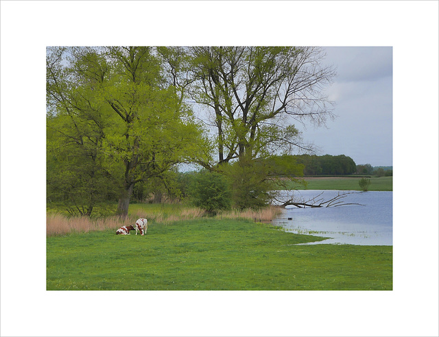 along the river