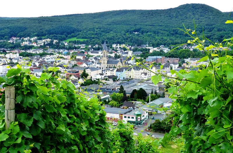 DE - Bad Neuenahr - View from the vineyards