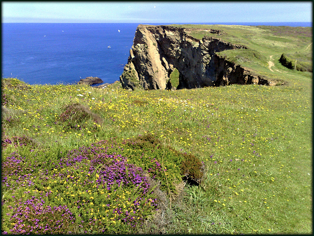 South West Peninsula Coast Path, Portreath for Pam.