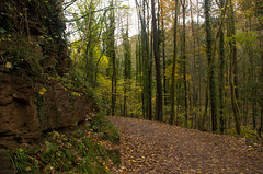 Sandstone and trail