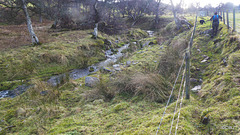 A narrow fenced section of the Speyside Way between Tormore and Cromdale