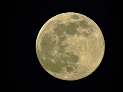 Vollmond am 07.04.2020