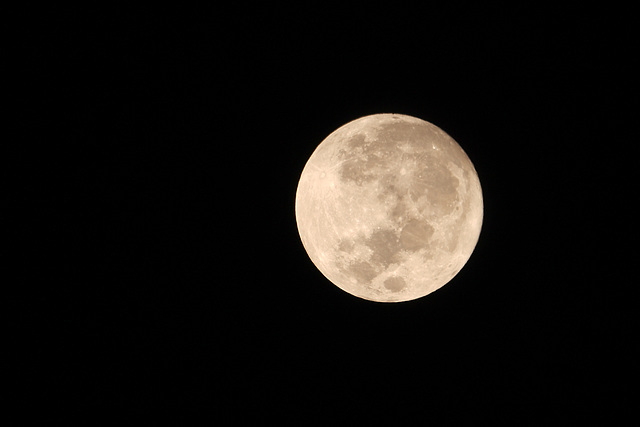 Last night's full moon