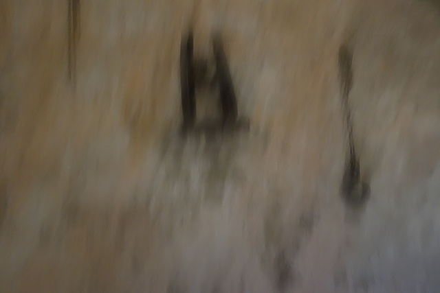 DSC03332