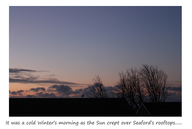 Sunrise Seaford - 15.1.2016