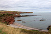 Arbroath. Seaton Cliffs.  Carlingheugh Bay.