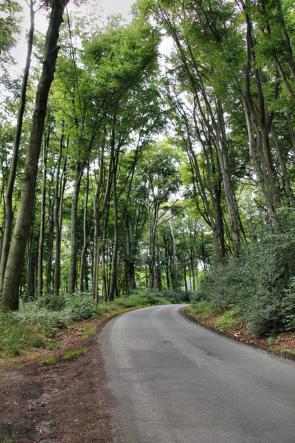 Oberstüterstraße (Hattingen) / 20.08.2017