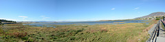Wetland Gulf of Argentino Lake near the Village of El Calafate
