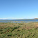 Wetland Gulf of Argentino Lake near the Village of El Calafate