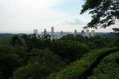 View From Mount Faber