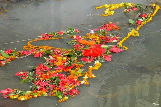 Restes entourant la crémation...dérivant dans la rivière sacrée Bagmati