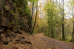 Sandstone cliff