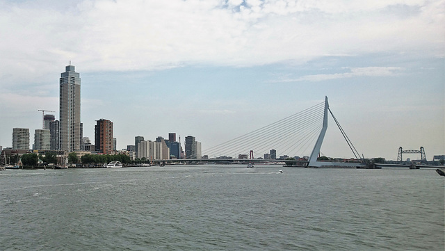 Hafen Rotterdam mit Erasmusbrücke