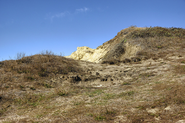 Grassy Bluffs – San Gregorio Beach State Park, San Mateo County, California