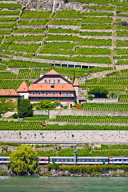 110626 Ln Lavaux