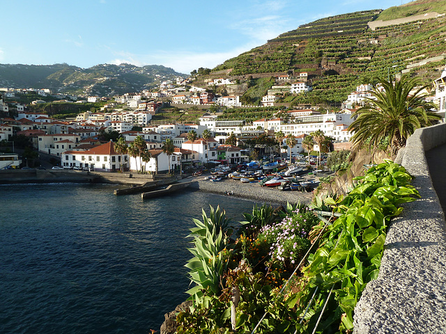 Madeira die grüne Insel