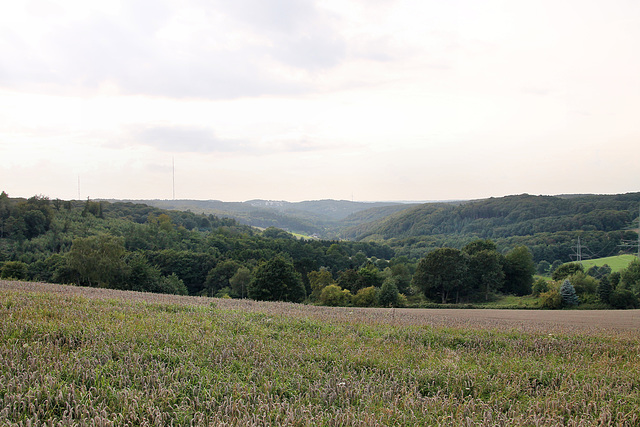 Blick zum Felderbachtal (Hattingen) / 20.08.2017